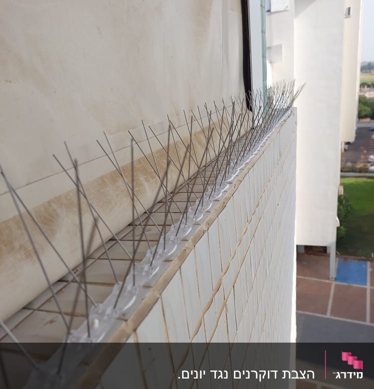 דוקרנים למניעת יונים מותקנים על אדן חלון